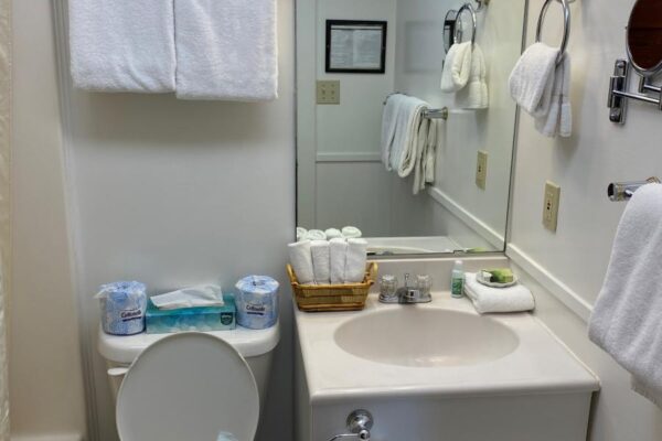 View of the bathroom