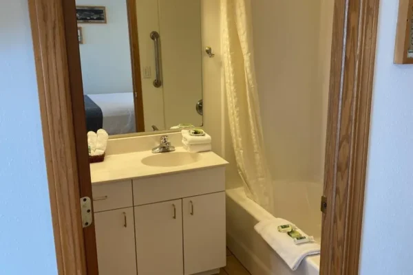 View of the bathroom