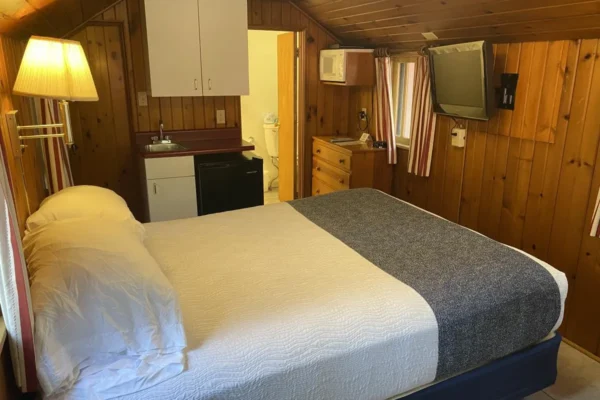 View of the main living area with queen bed and kitchenette