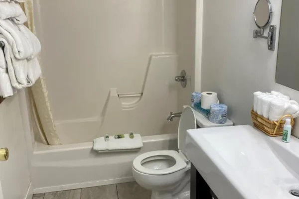 View of the bathroom