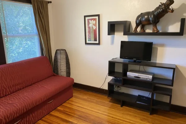 View of the living room with the sofa sleeper